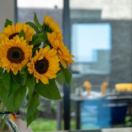 Nero By Lovelystay アパート フンシャル